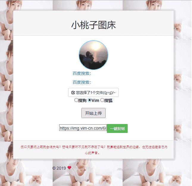 聚合图床程序源码 支持搜狗搜狐Vim图-星来资源网