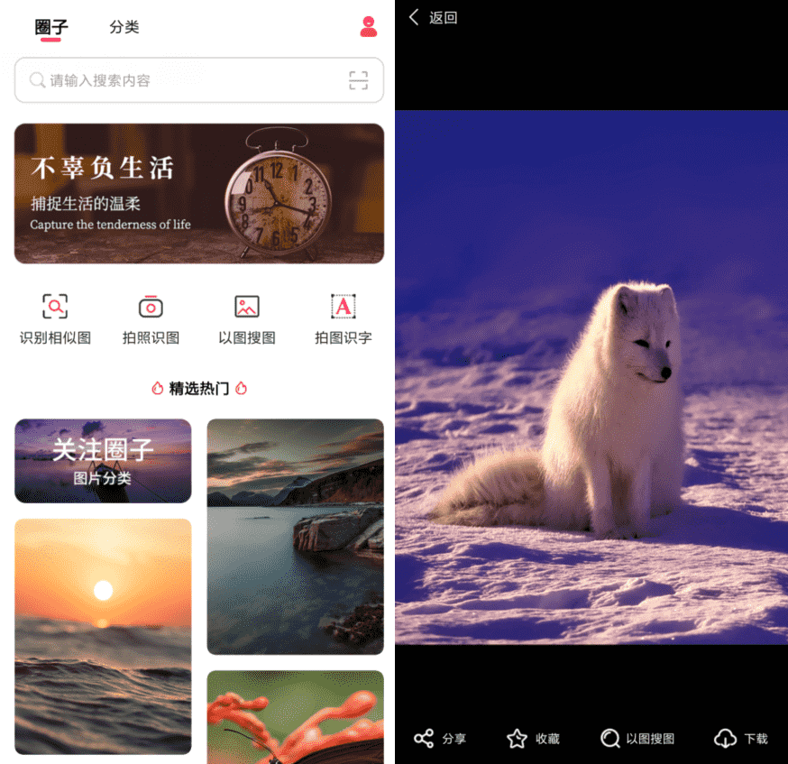 以图搜图v1.0.0纯净版-星来资源网