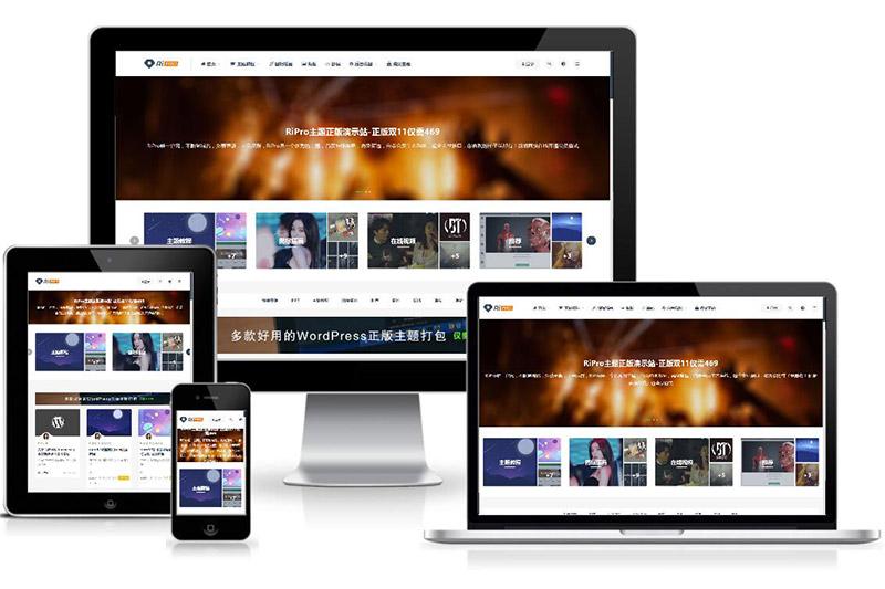 WordPress付费资源下载主题：ripro8.7最新破解版-星来资源网