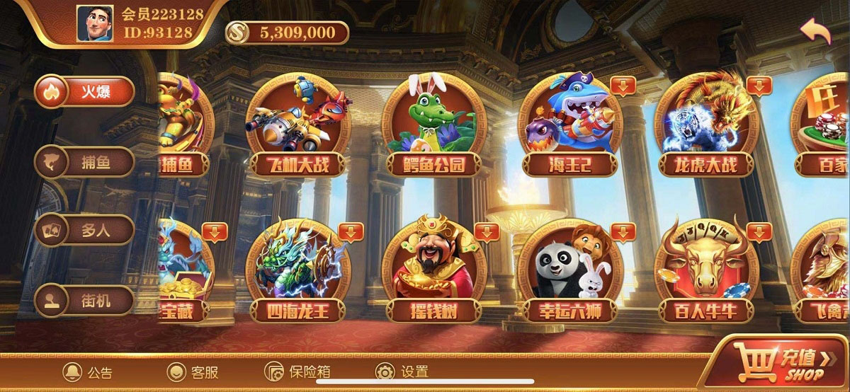 无错运营级别逍遥娱乐,2021最新大富豪,二开增加多款子游戏,双端完整组件-星来资源网