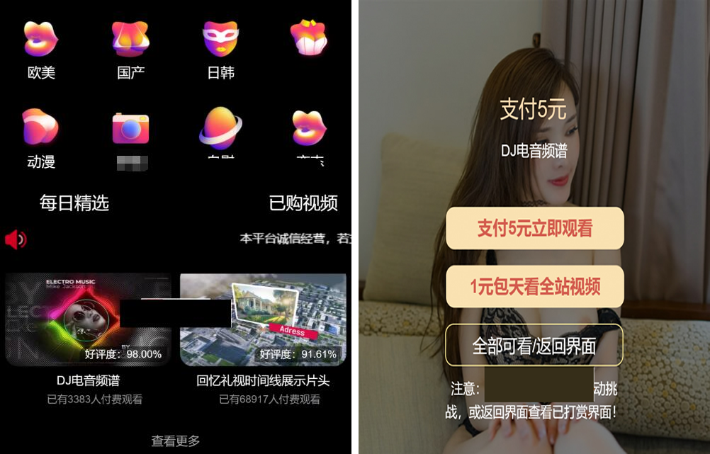 最新版付费视频打赏程序源码 多模板+全新UI 带包天+可扣量+代理 非云赏V系列-星来资源网