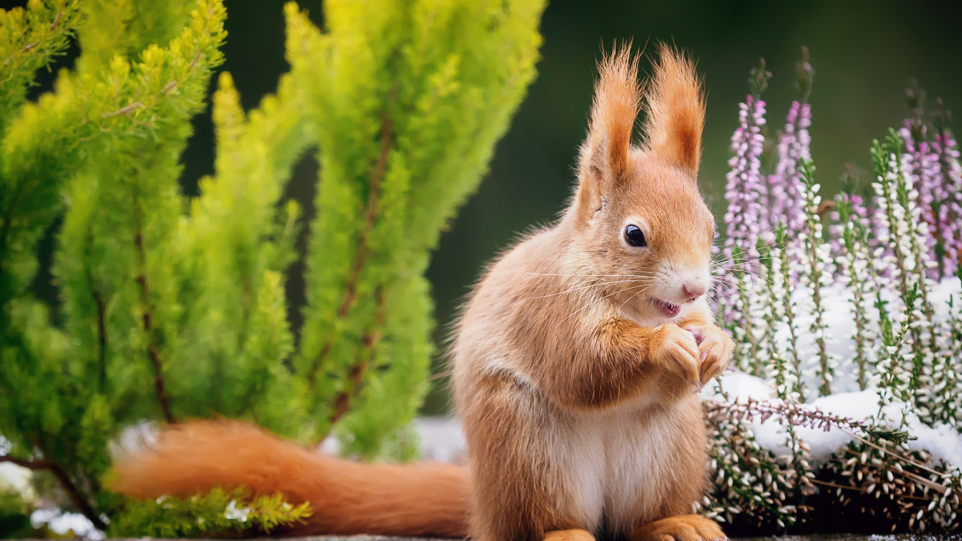 的头像-星来资源网